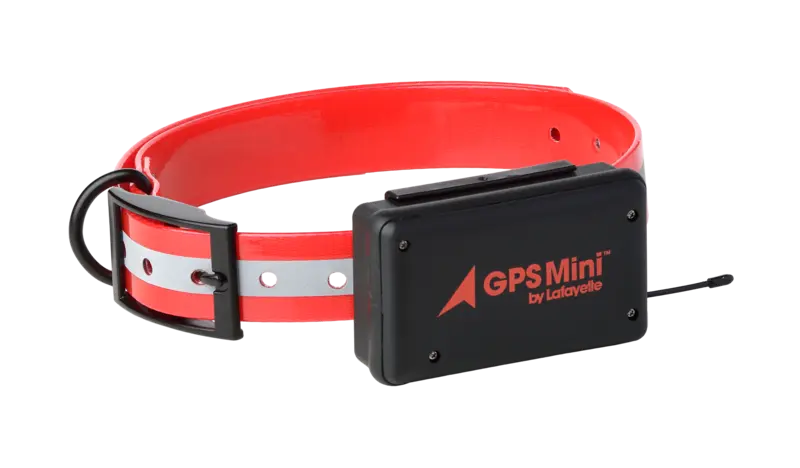 collar-gps